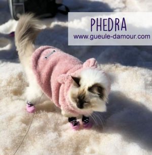 La jolie Phedra dans sa veste en peluche !